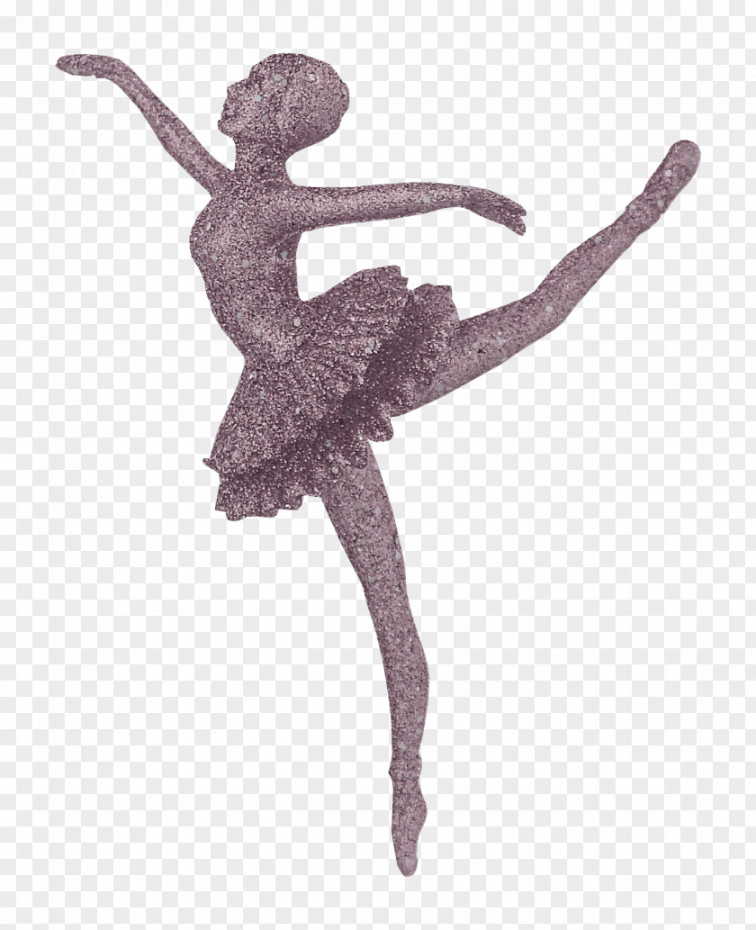 Beautiful Dancers Ballet Dancer PNG