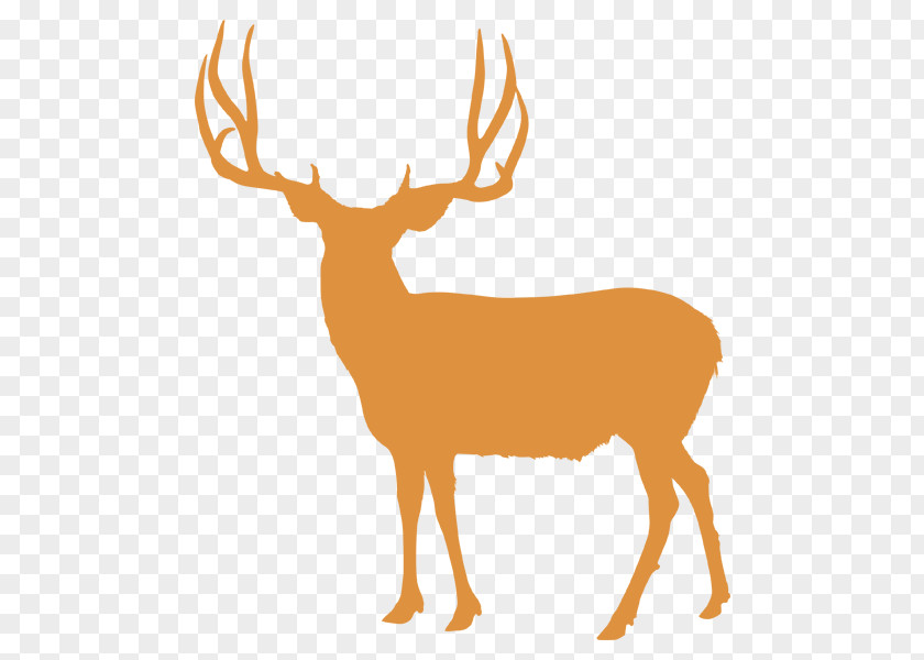 Deer Antler Elk White-tailed Reindeer Utah PNG