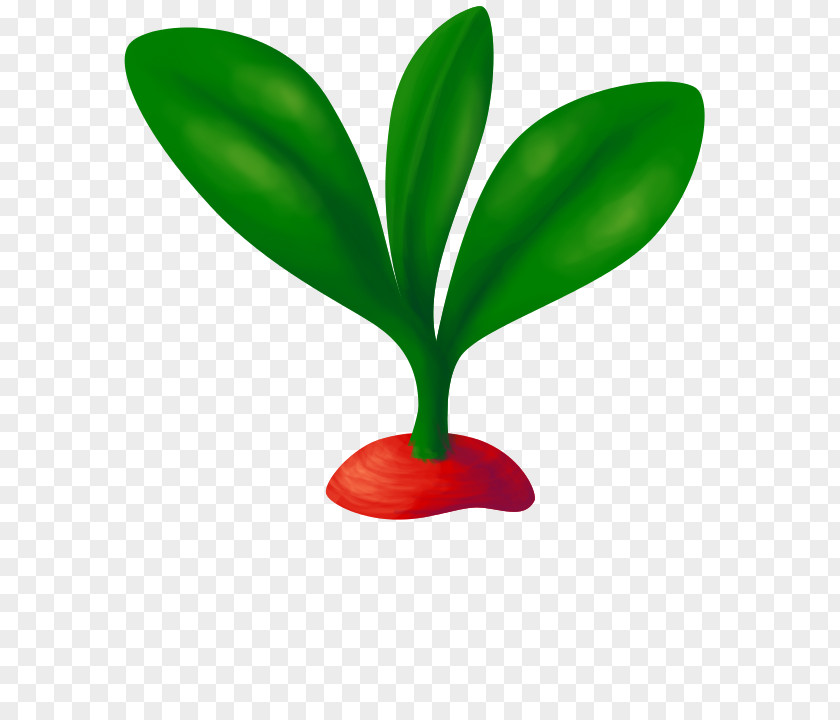 Leaf Flowerpot Plant Stem PNG