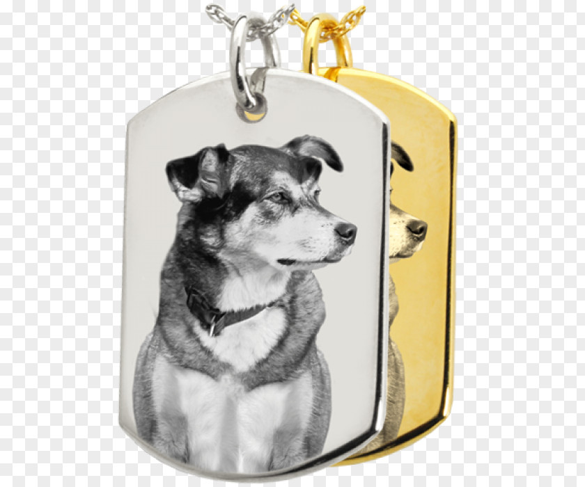 Puppy Dog Breed Jewellery Pet PNG