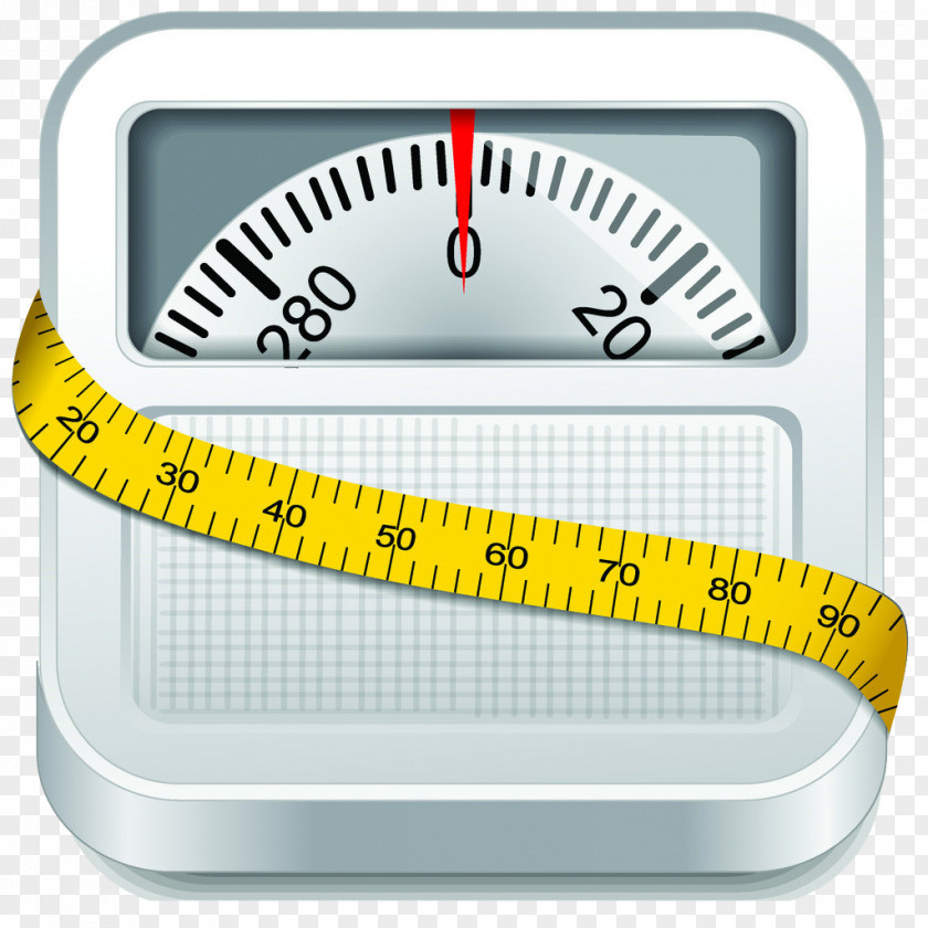 Scales Weighing Scale Weight Euclidean Vector Illustration PNG