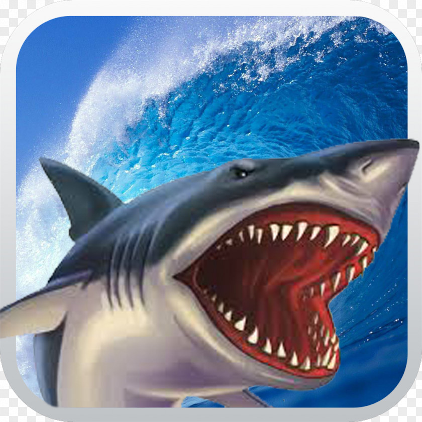 Shark Attack Simulator 3D Crocodile Free: Wild PNG