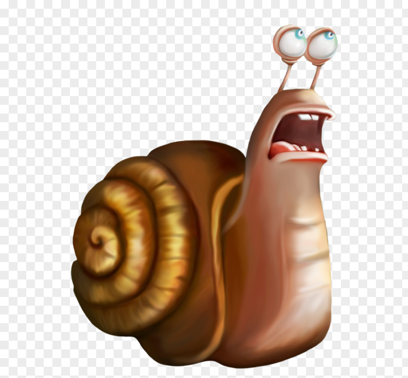 Cartoon Snail Orthogastropoda PNG