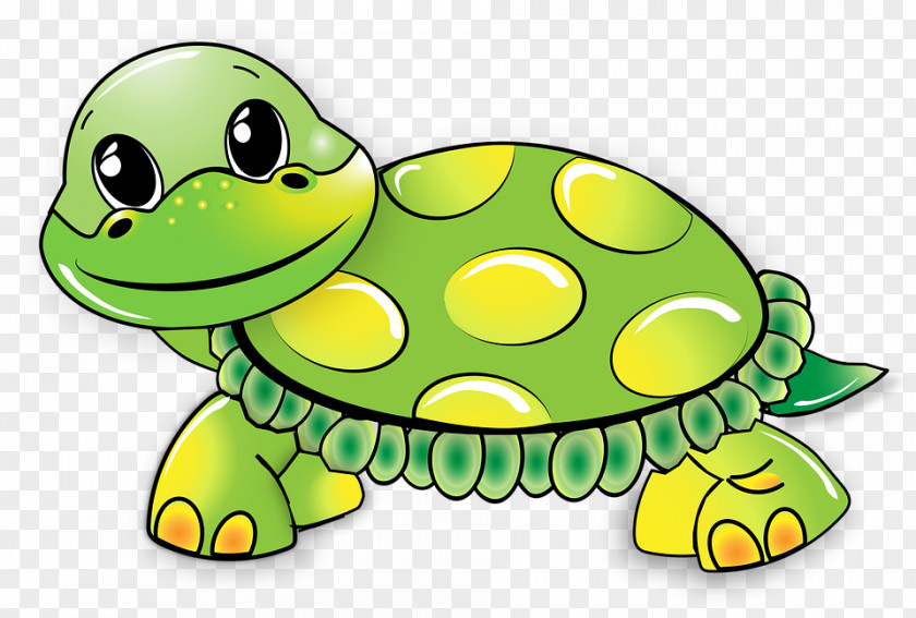 Cute Turtle Transparent Picture Old Clip Art PNG