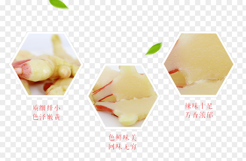 Ginger Bud Flavor PNG