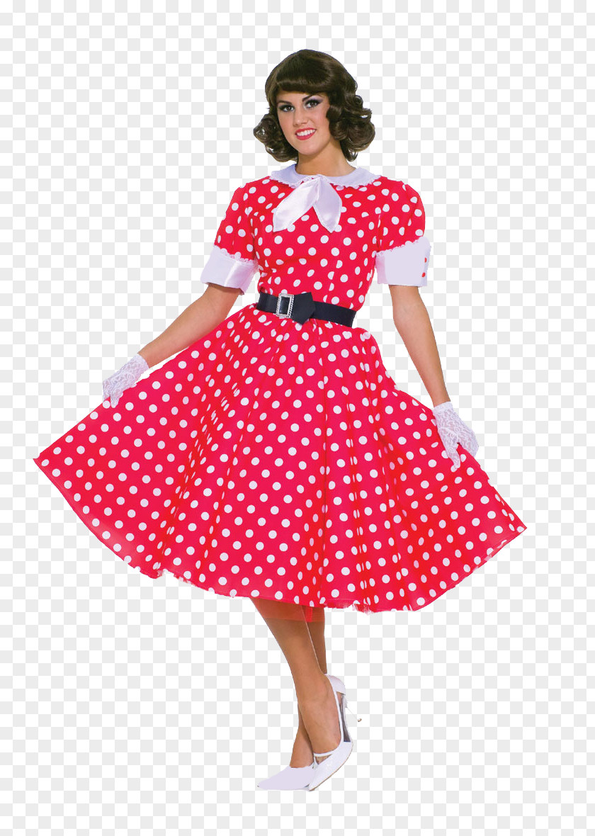 Housewife 1950s Poodle Skirt Costume Fashion Dress PNG