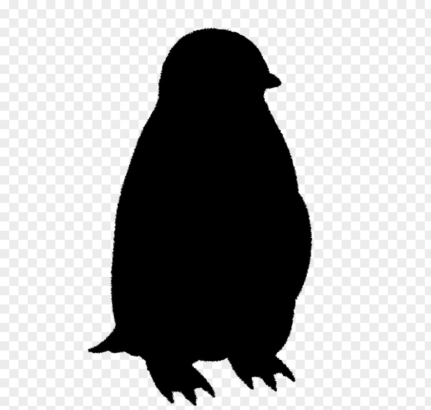 Penguin Clip Art Beak Fauna Silhouette PNG