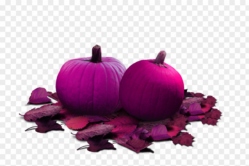 Rose Red Pumpkin Jps Berry And Patch Halloween Clip Art PNG