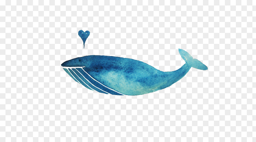 Whale Blue Marine Mammal Illustration PNG