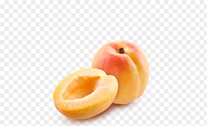 Apricot Clip Art PNG