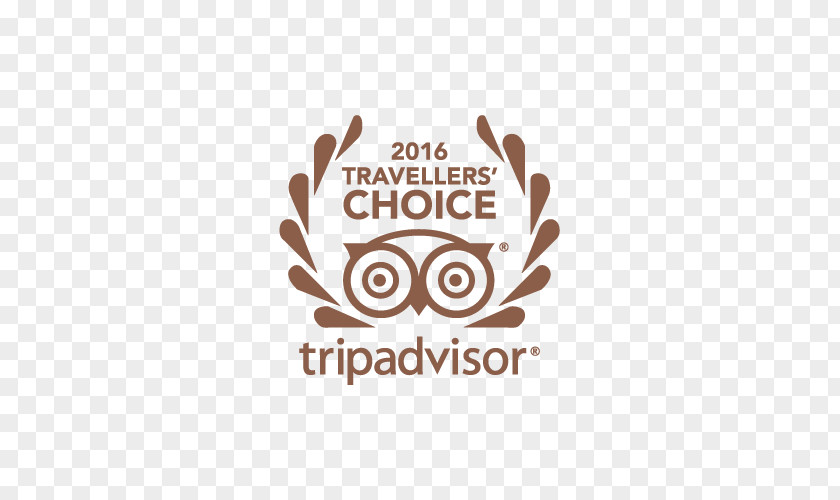 BBHHotel Hotel Travel TripAdvisor San Miguel De Allende Kiwis Nest PNG
