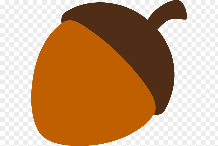 Fruit Plant Acorn PNG