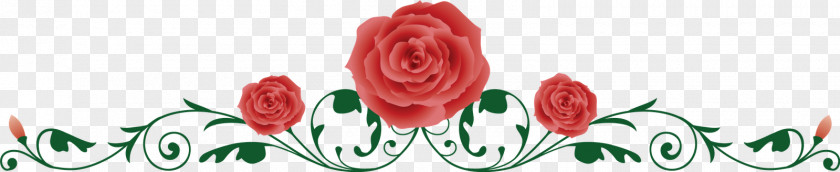 Kwiaty Ramka Rose Drawing Clip Art PNG