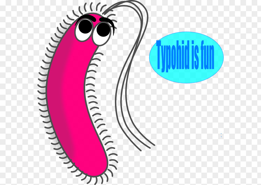 Math Border Bacterial Cell Structure Microbiology Microorganism Clip Art PNG