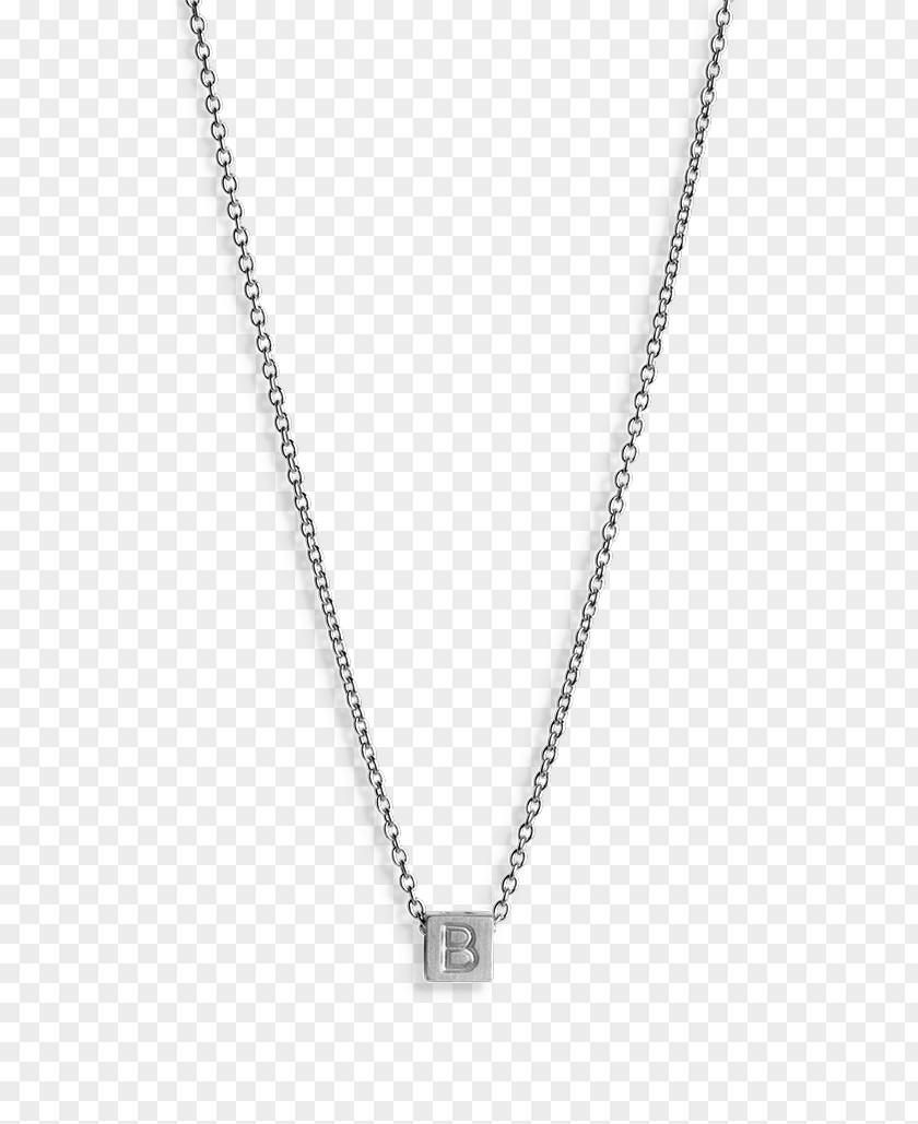 Necklace Jewellery Sterling Silver Colored Gold PNG