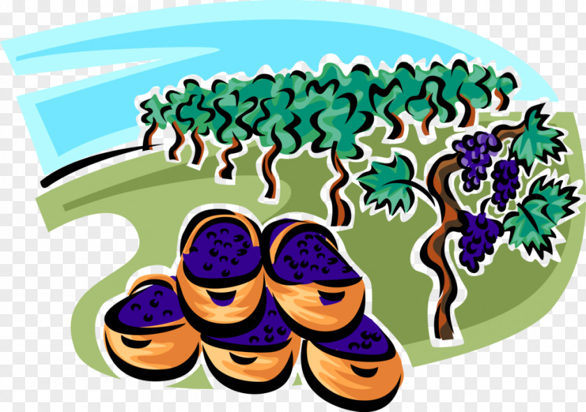 Plant Shoe Fruit Tree PNG