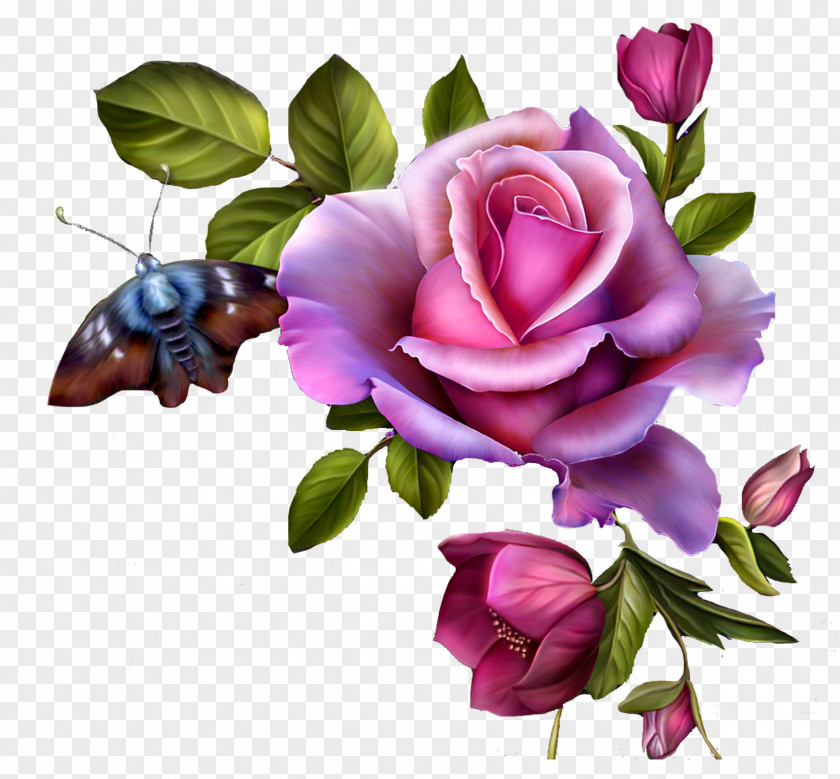 Rose Clip Art Flower Bouquet Pink PNG