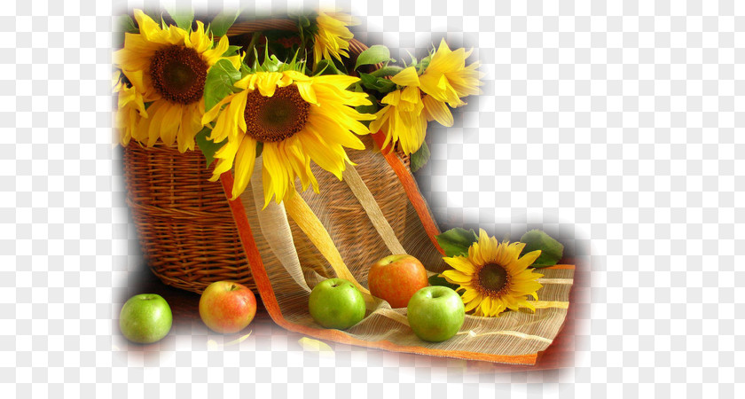 Sunflower Yellow Still Life With Apples Wallpaper PNG