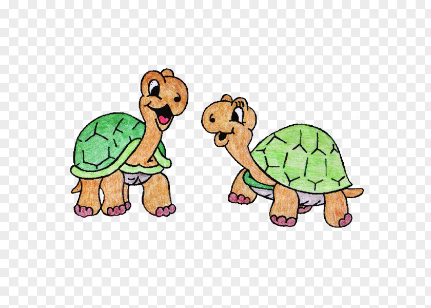 Turtle Tortoise Terrestrial Animal Clip Art PNG