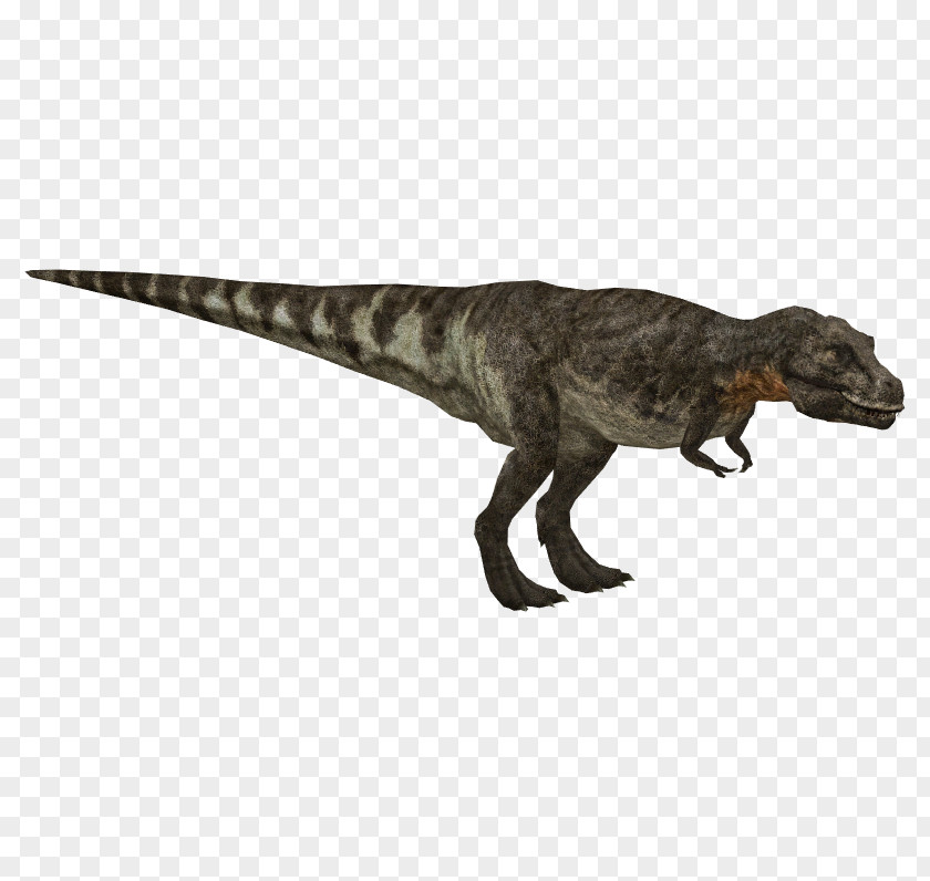 Tyrannosaurus Zoo Tycoon 2 Apatosaurus Othnielia Velociraptor PNG