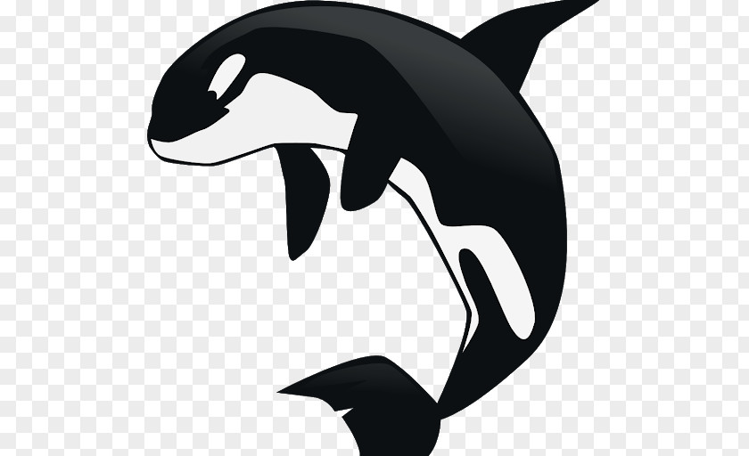 Whale Killer Baby Clip Art PNG