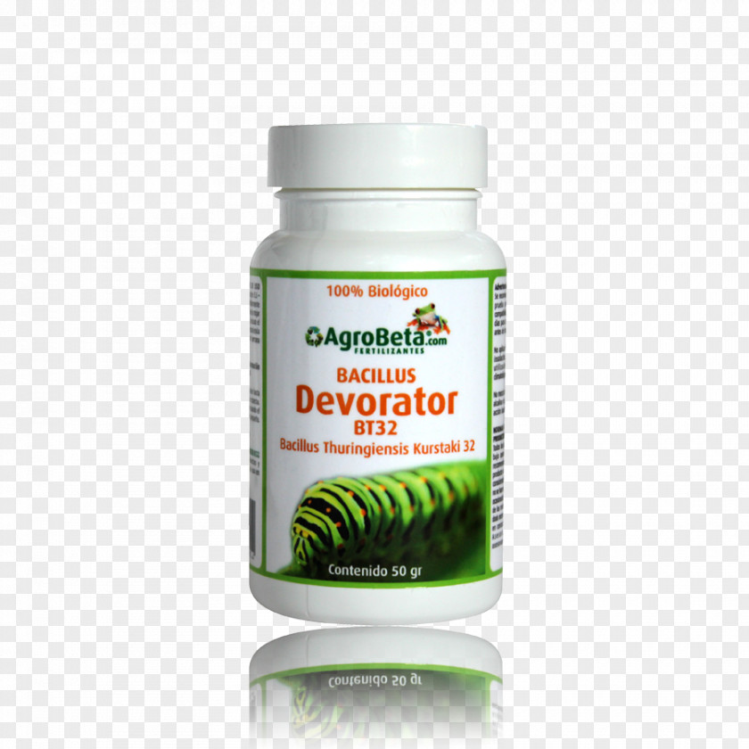 Caterpillar Bacillus Thuringiensis Pest Bacteria Insect PNG