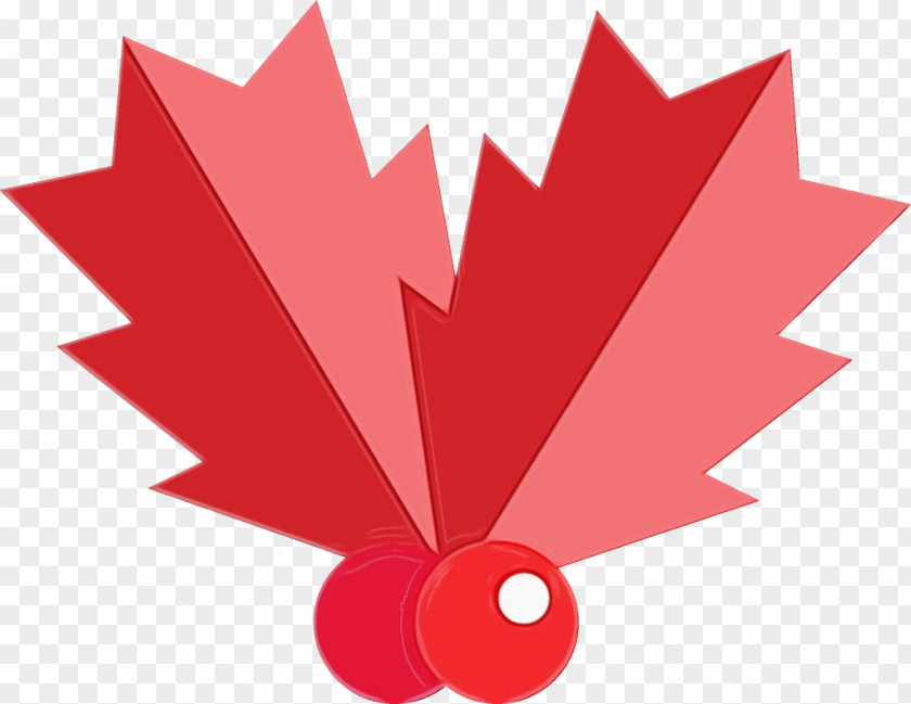 Plant Tree Maple Leaf PNG