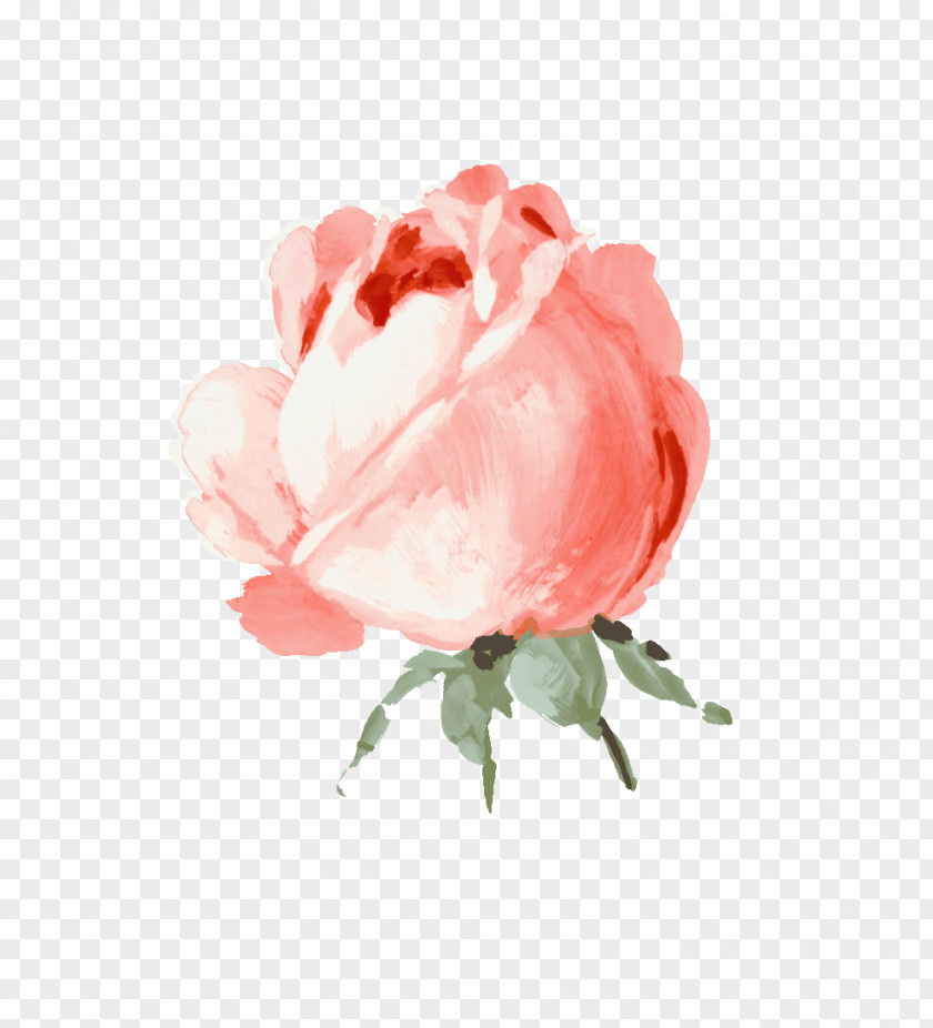 Adorable Flower Garden Roses Still Life: Pink Clip Art PNG