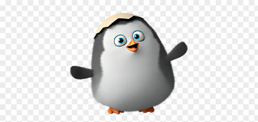 Animation Skipper Kowalski Madagascar DreamWorks PNG