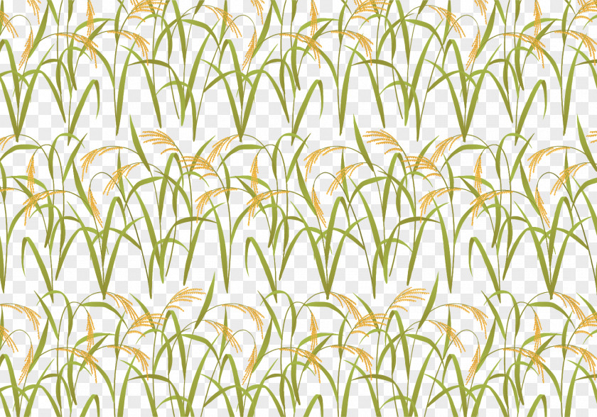 Autumn Harvest Rice Field Leaf Grasses Yellow Plant Stem Pattern PNG