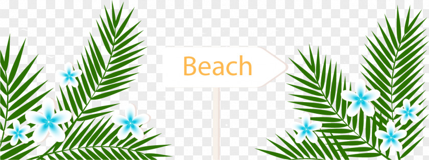 Cartoon Green Leaves Playa De La Arena Arecaceae Summer Vacation Beach PNG