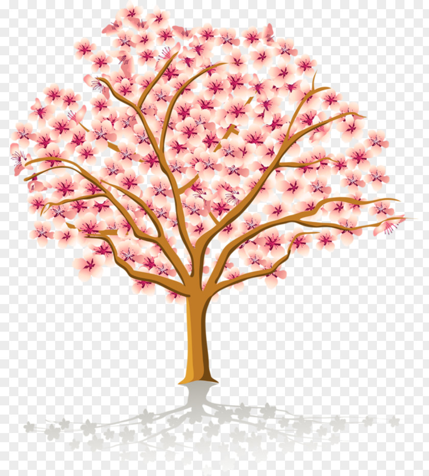 Cherry Blossom Vector Clip Art PNG