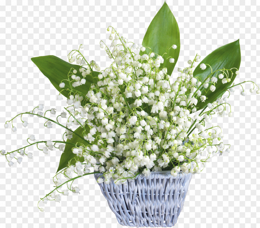 Lily Of The Valley May 1 Party Labour Day PNG