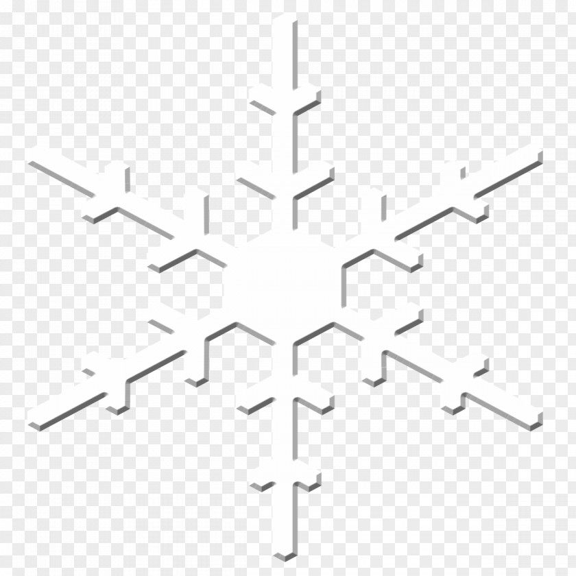Snow Flake Snowflake Winter PNG