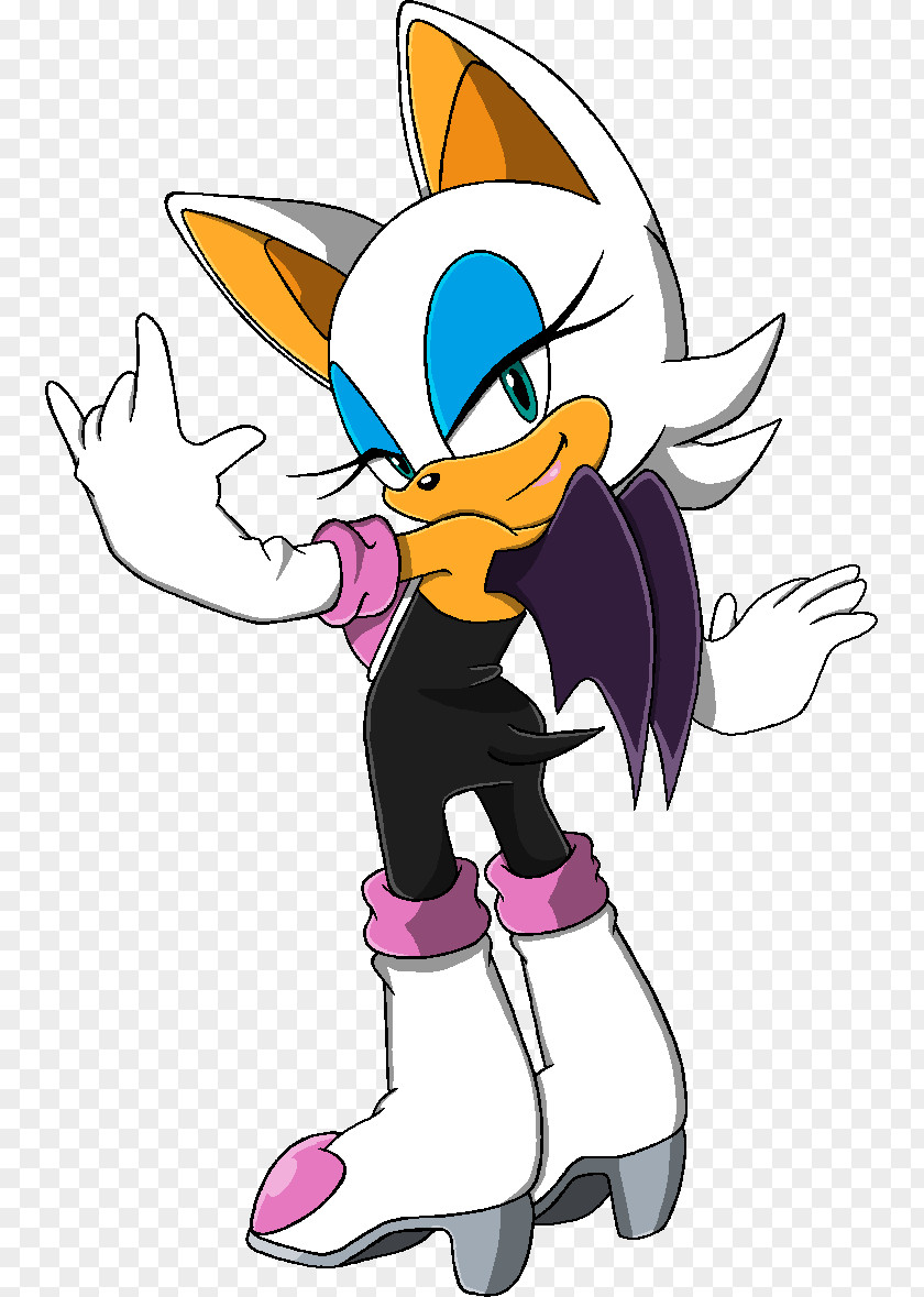 Sonic The Hedgehog Rouge Bat Amy Rose Free Riders Rivals 2 PNG