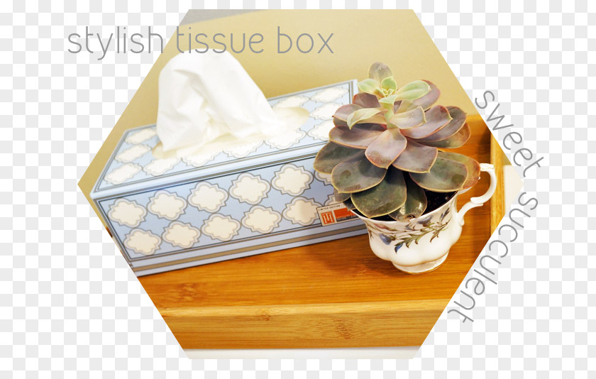 Succulent Border Plastic Material Room Budget Cup PNG