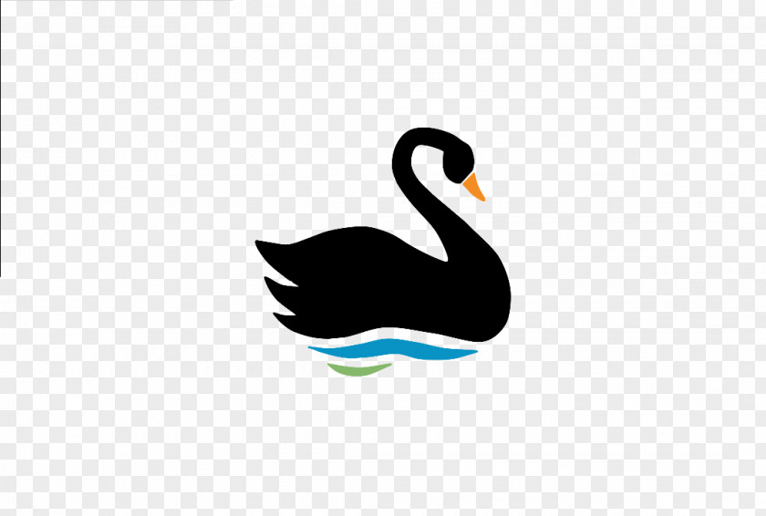 Swan The Black Swan: Impact Of Highly Improbable Duck Bird Theory PNG