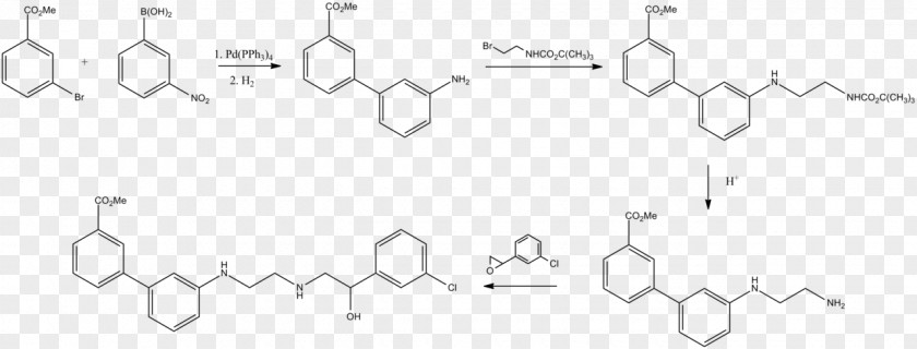 White Baruch College International Union Of Basic And Clinical Pharmacology PNG