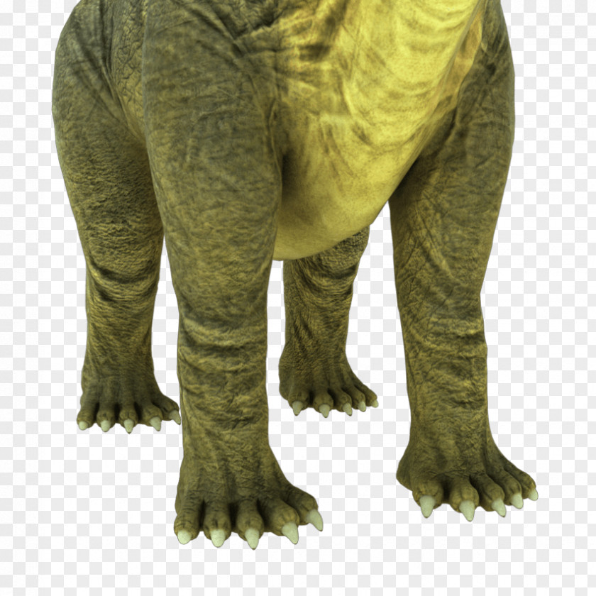 Animation Brontosaurus Apatosaurus 3D Computer Graphics Rendering PNG