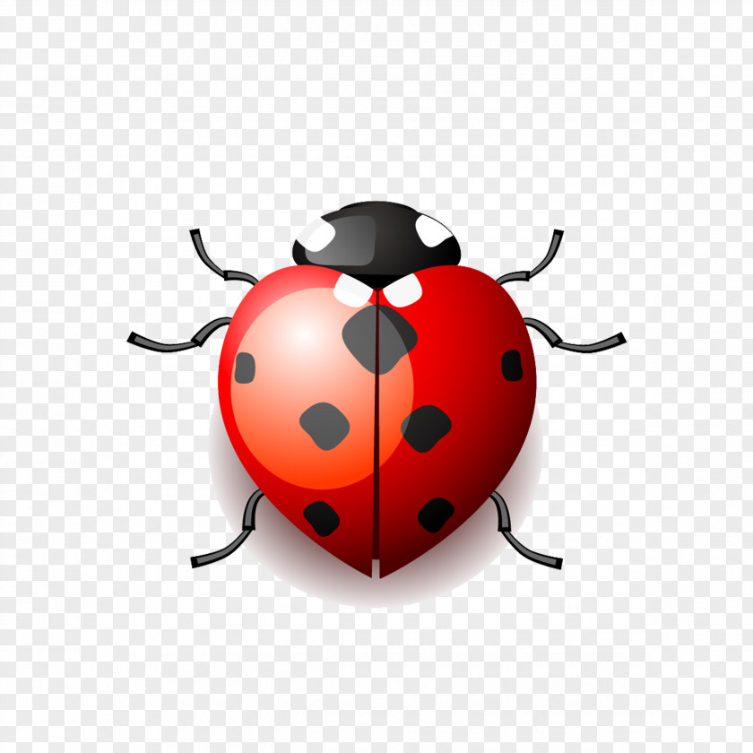 Cartoon Ladybug Drawing Ladybird Clip Art PNG