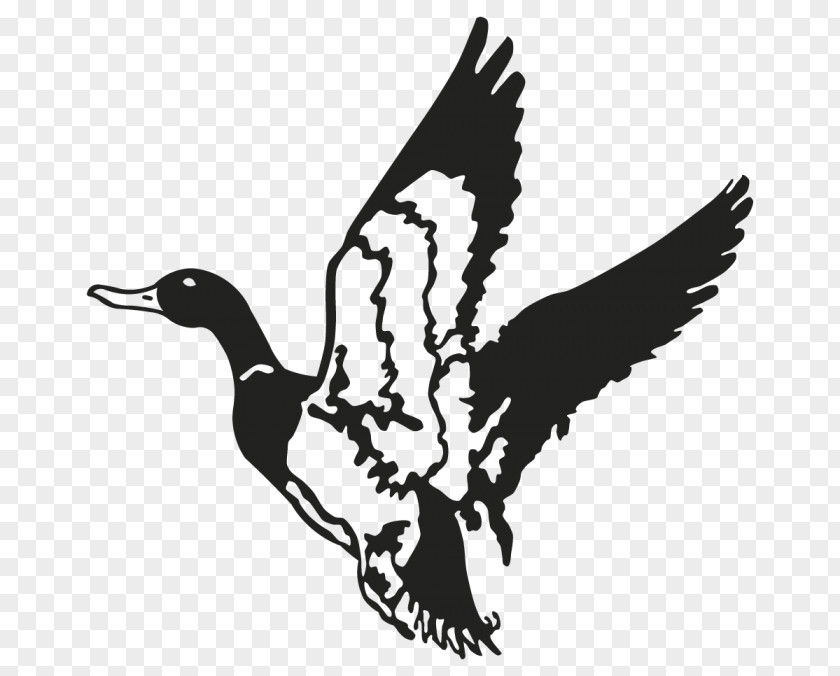 Duck Mallard Decal Waterfowl Hunting PNG