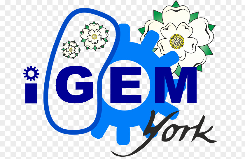 E Coli Logo New York City International Genetically Engineered Machine Clip Art Brand PNG
