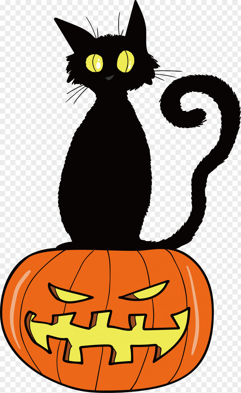 Fried Black Cat Kitten Orange Whiskers PNG