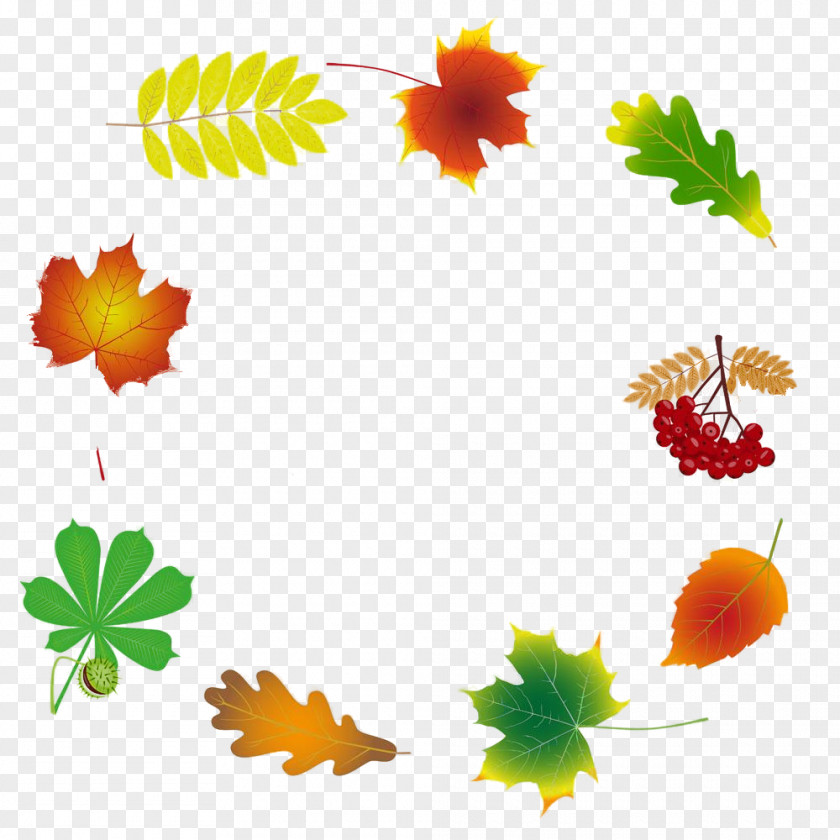 Plant Yellow Leaf PNG