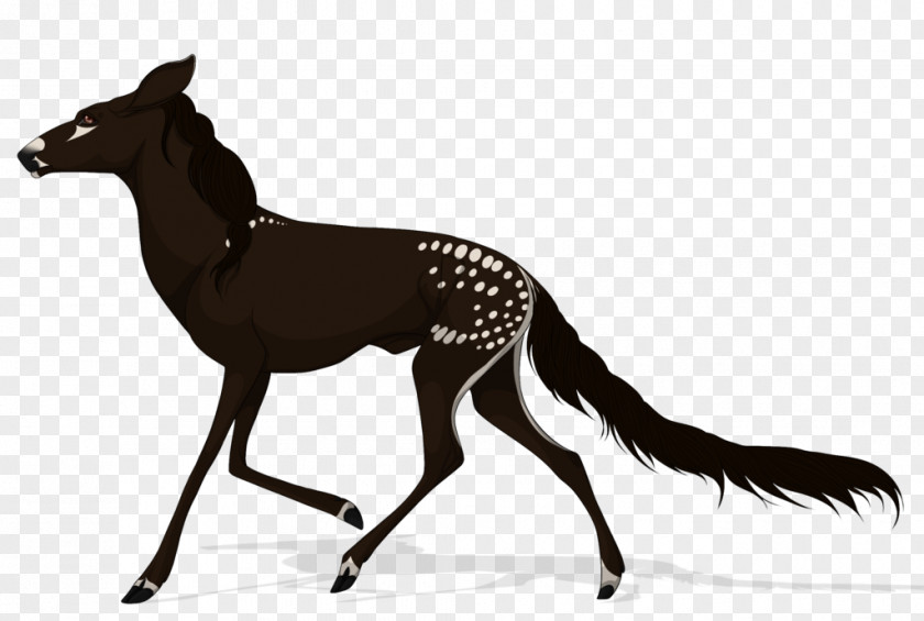 Royal Stag Mustang Deer Dog Mane Pack Animal PNG