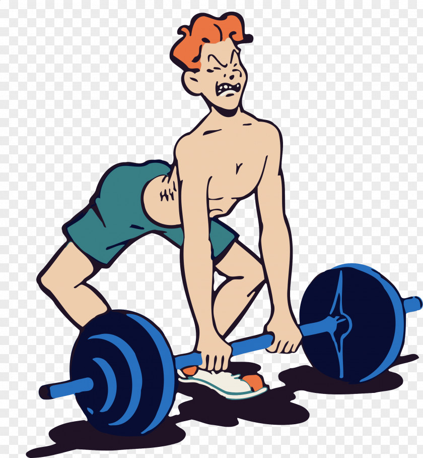 Training Barbell Weight Physical Fitness Clip Art PNG