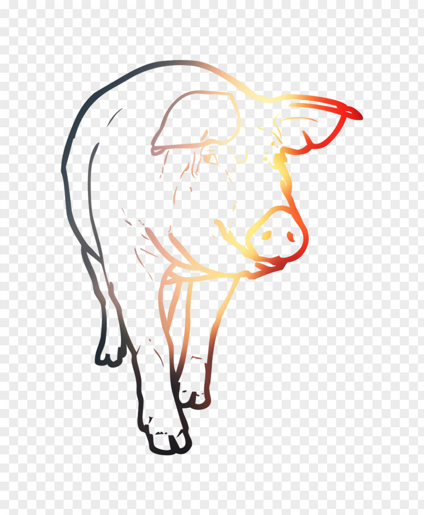 Cattle Pig Illustration Clip Art Line PNG