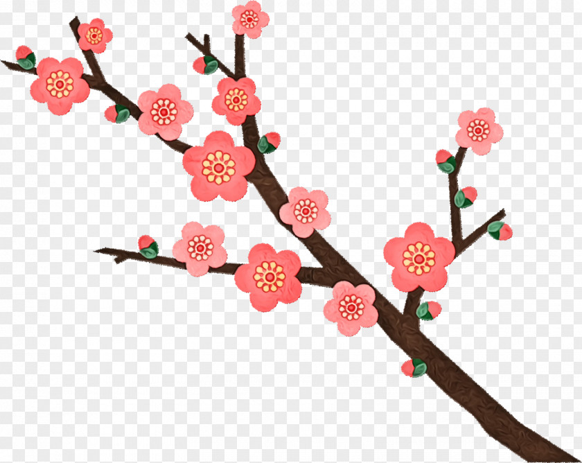 Cherry Blossom PNG