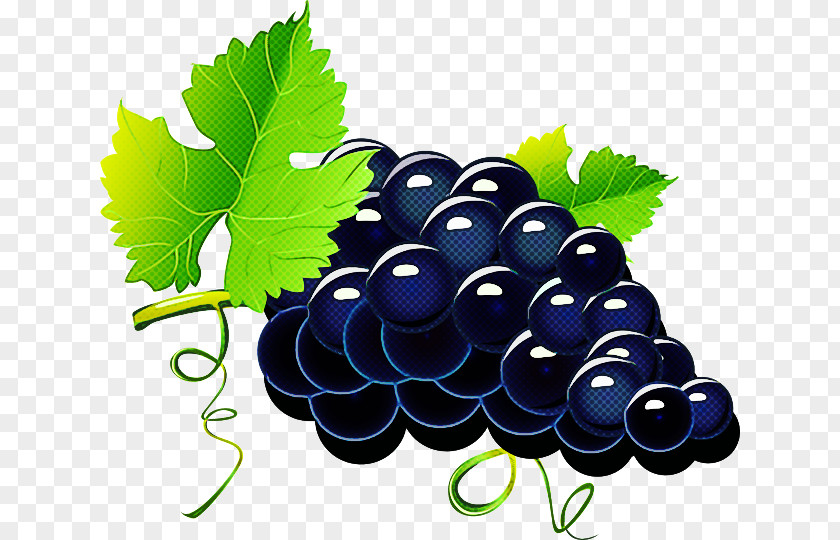 Currant Vitis Grape Leaves Berry Fruit Seedless PNG