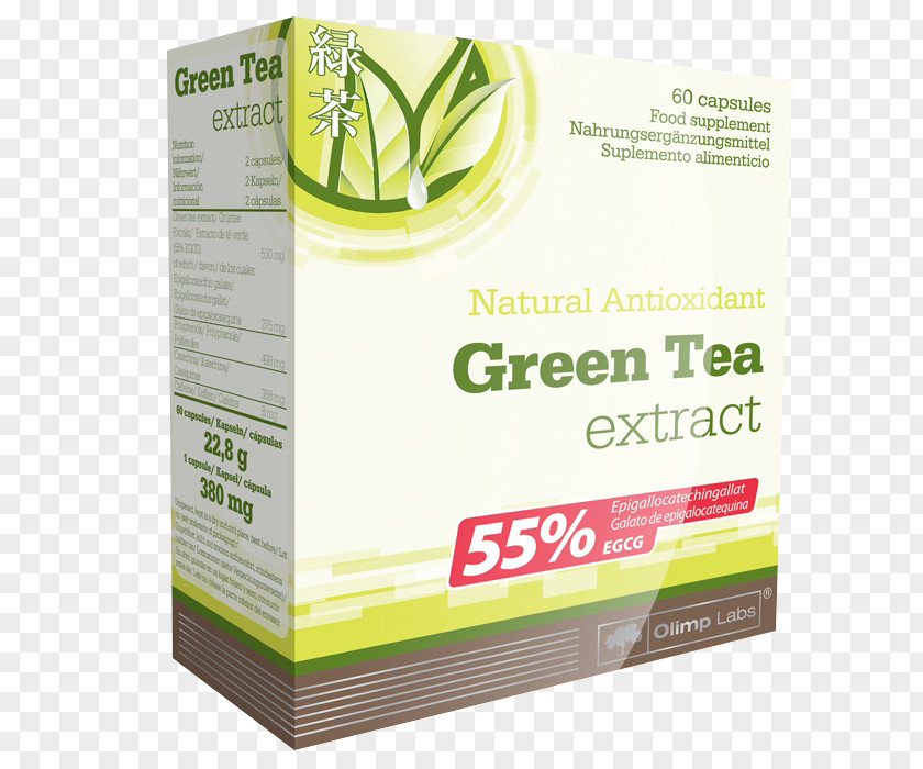 Green Tea Brand Extract Plant Nutrition PNG